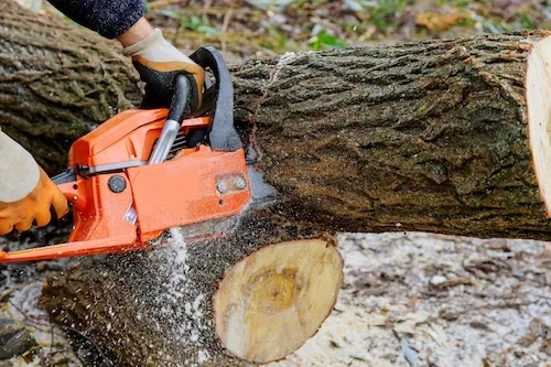 San's Tree Service tree work in Perth