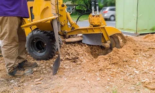 Stump Grinding Perth