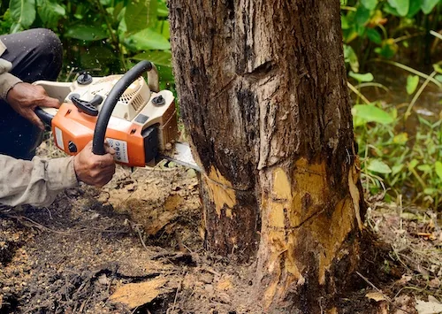 Tree Mulching Perth
